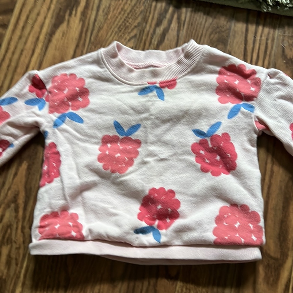 Raspberry Print Sweatsuit - Picture 2 of 3
